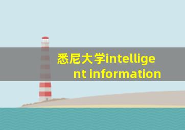 悉尼大学intelligent information